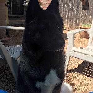 Meet your Posher, Tammy